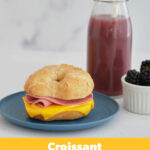 Turkey Ham & Cheese Croissant Melt (1:1), WG (Bulk) 72273_TkyHamChsCroissBulk_Label_980x1210